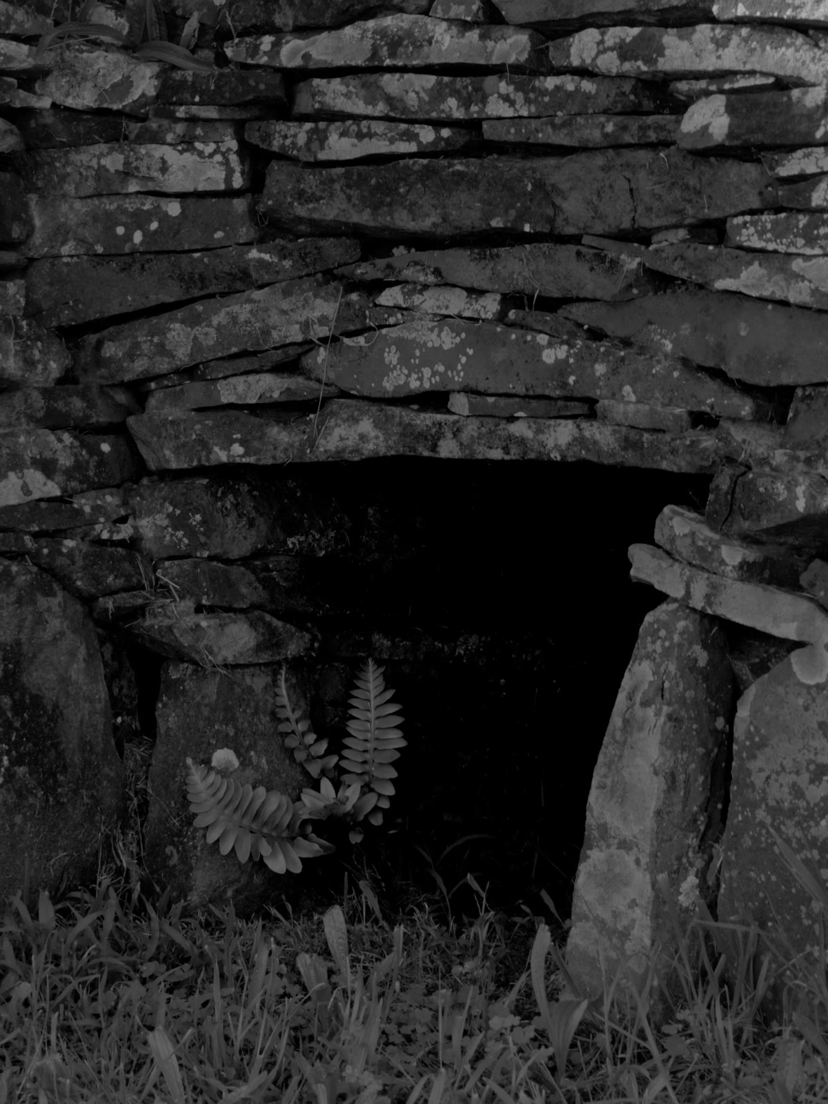 Cueva ancestral con petroglifos